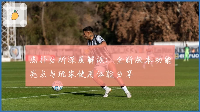 虎扑分析深度解读：全新版本功能亮点与玩家使用体验分享